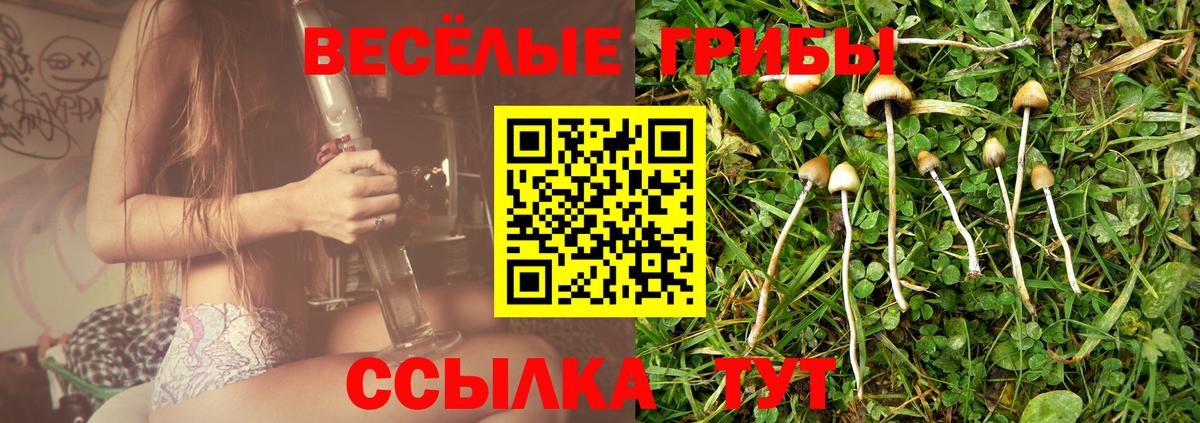 Галлюциногенные грибы Psilocybine cubensis  Вход с VPN  Канаш 